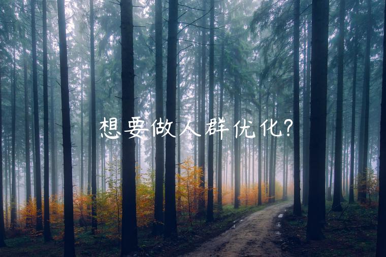 想要做人群優(yōu)化?